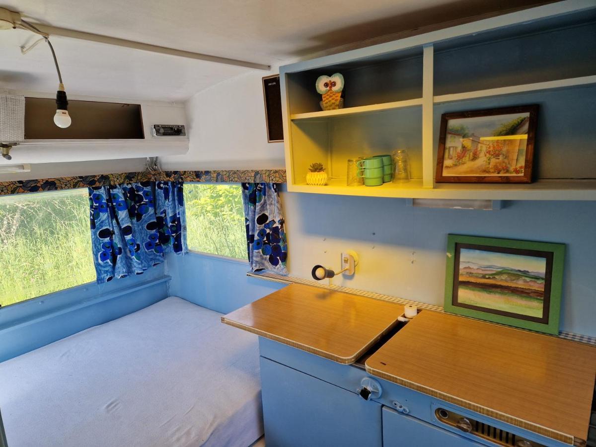 Camping La Foret Du Morvan Vintage Caravan Larochemillay Kültér fotó