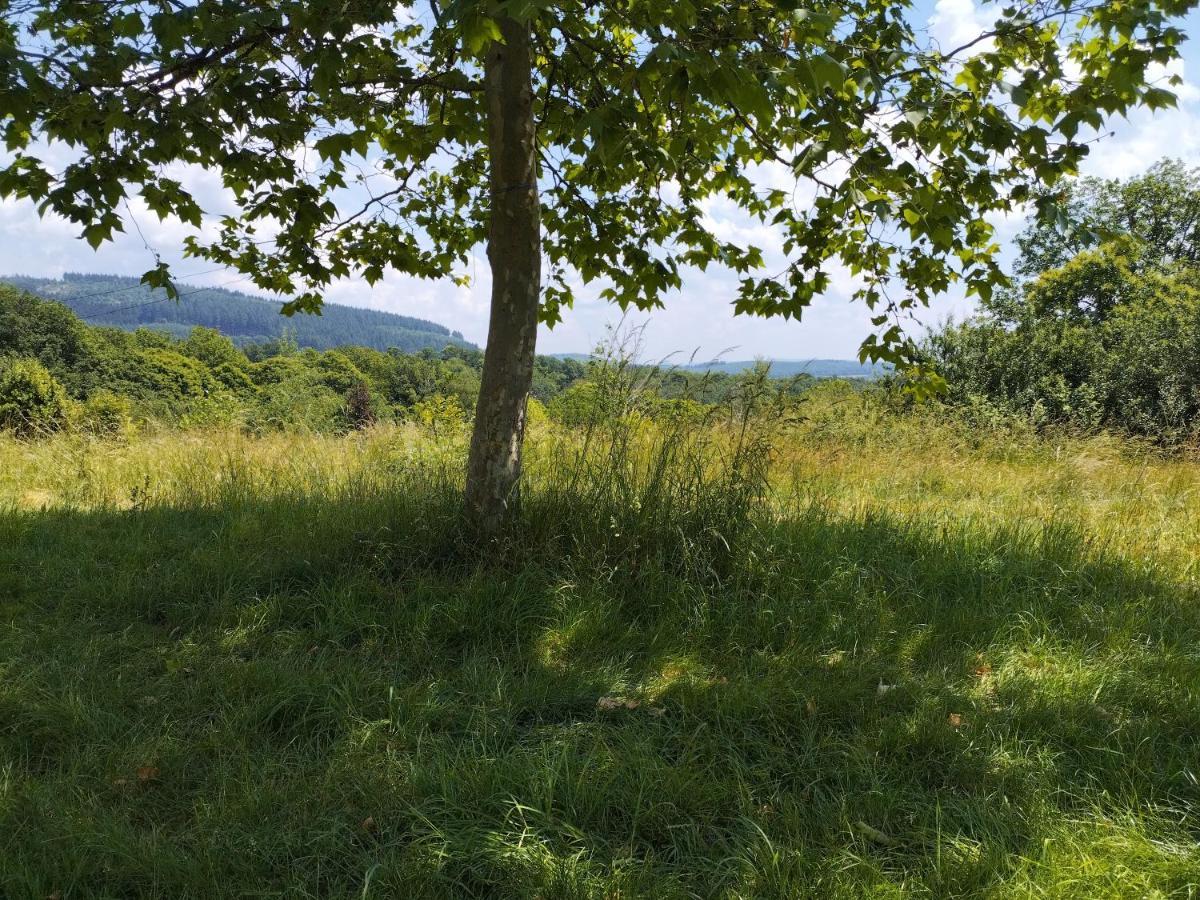 Camping La Foret Du Morvan Vintage Caravan Larochemillay Kültér fotó