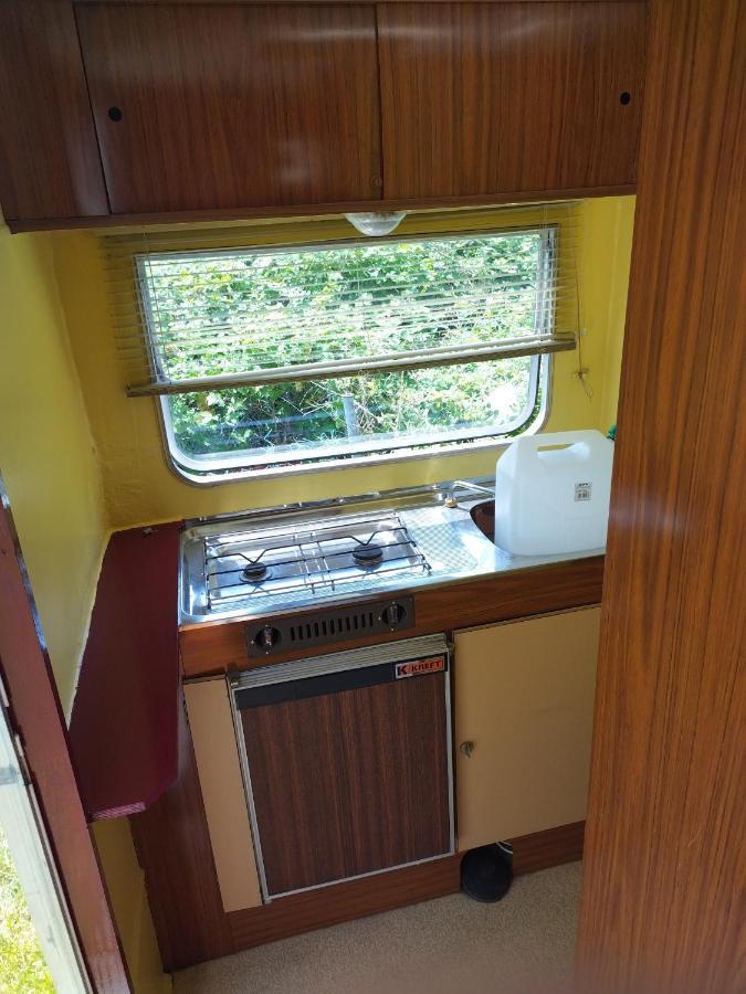 Camping La Foret Du Morvan Vintage Caravan Larochemillay Kültér fotó